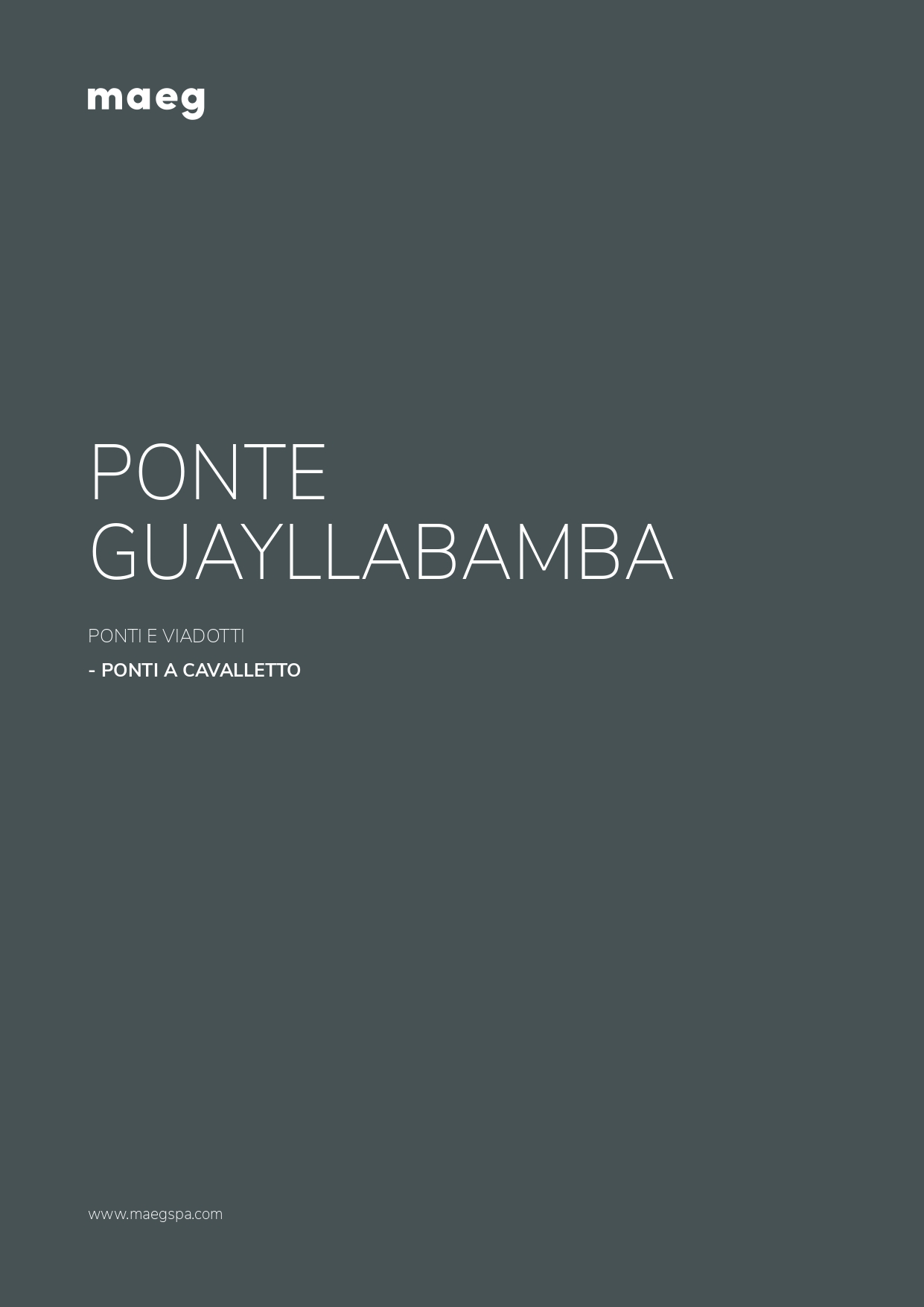 Guayllabamba bridge